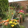 Summer colour