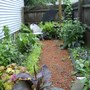 Side Garden