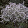 Pict0053