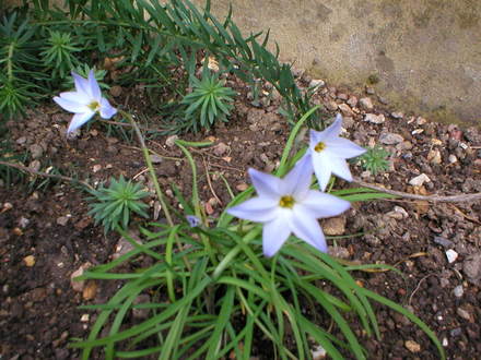 P1010051.jpg