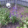 086_86.jpg