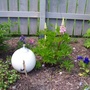 087_87.jpg