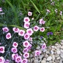 089_89.jpg