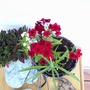 090_90.jpg