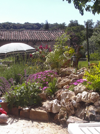 new garden