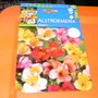 Alstroemeria ligtu (Peruvian lily)