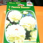 Pict0199
