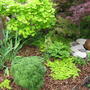 Japanese maples and bubbling fountain