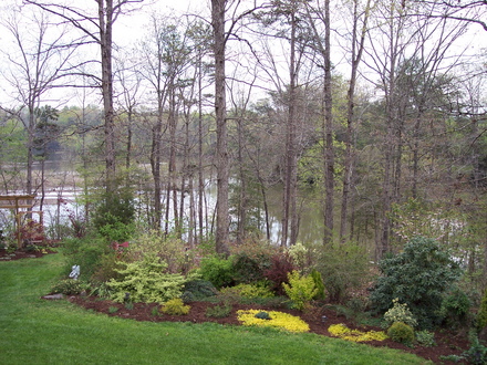  front yard in early spring '07