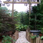 Summer_flowers__8-6-06_091