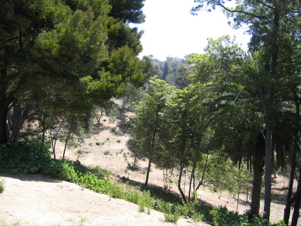 park