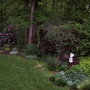 Spring_flowers__5-8-06_002