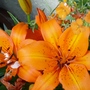 August_2007