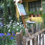 Chelsea_flower_show_012