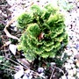 Pict0217