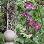 Image011