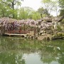 Garden_2
