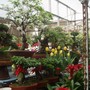 Plant and flower market, Suzhou