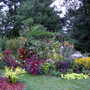 Summer_flowers_7-25-06_043