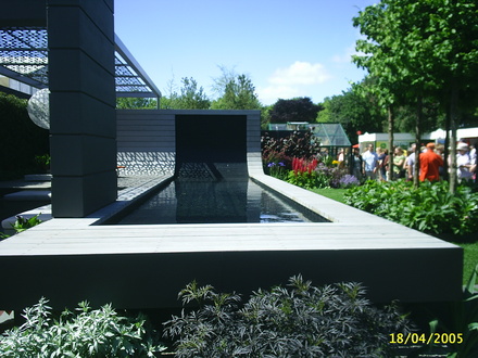A garden flower photo