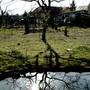Pict0255