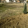 PICT0295.jpg