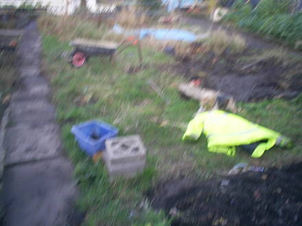 pond area 