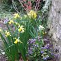 Spring_corner_1