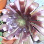March_025