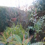 Hidding the compost bins