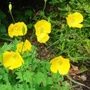 Dsc00197