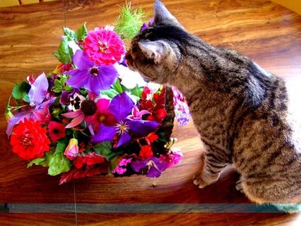 Holly smelling the Flowers