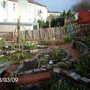 Spring at last?