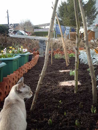 New litter tray?