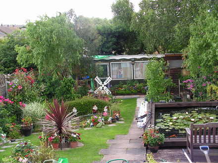 my garden in june/july 2007 no 2