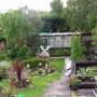 my garden in june/july 2007 no 2
