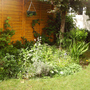 summer back garden