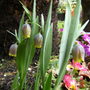 March_039