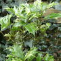 March_040