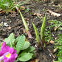 March_037