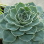 March_024