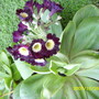 Pictures_summer_2007-spring_2008_074