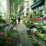 Spring plants in Paris