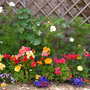 a border of colour