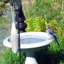 Bluejay at Bird Bath