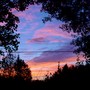 Yard_pictures_266