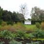 Pictures_summer_2007-spring_2008_072