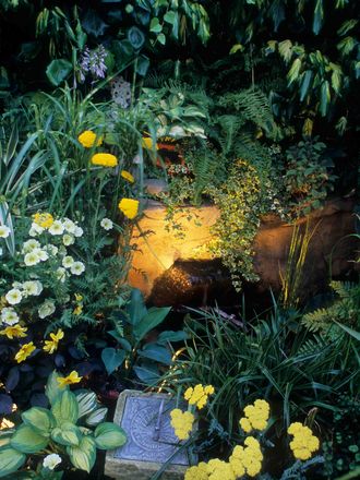 An evening view of the wildlife pond.