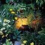 Image020