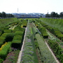 Thames Barrier Park June 2007